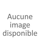 Annonce grossesse